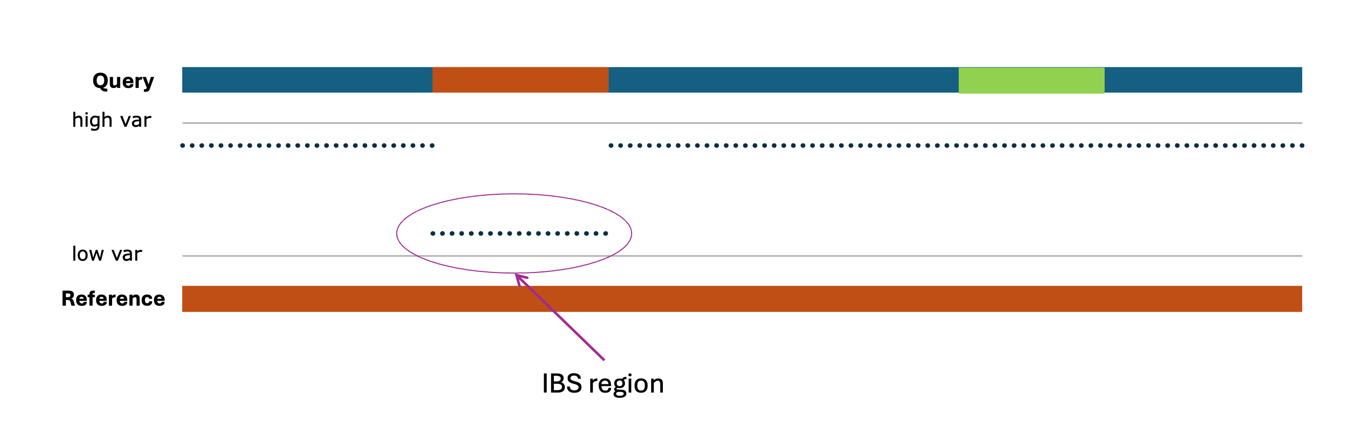 IBS Windows