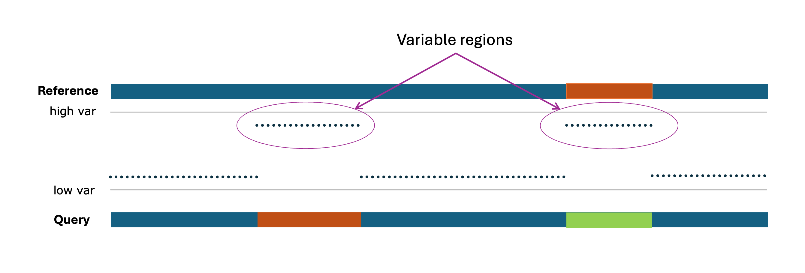 Variable Regions